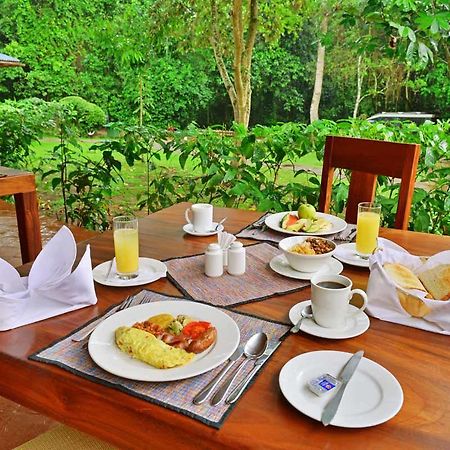 Primate Lodge Kibale Kampala Dış mekan fotoğraf